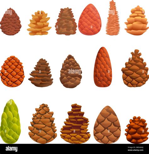Cartoon Pinecone Illustrations & Vectors .